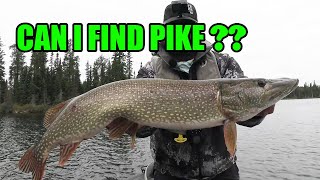 Pike Fishing in the North  Which lures and when [upl. by Greggory195]