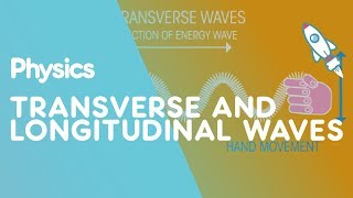 Transverse amp Longitudinal Waves  Waves  Physics  FuseSchool [upl. by Bunnie]