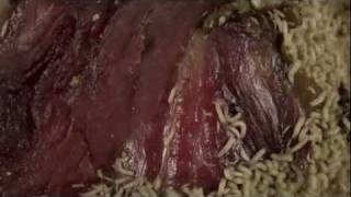 time lapse maggots eating meat HD [upl. by Eirb]