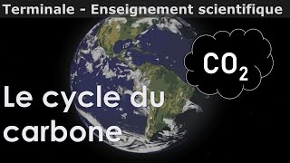 Le cycle du carbone  Enseignement scientifique  Terminale [upl. by Tito306]