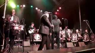 Melbourne Ska Orchestra quotKatoombaquot  The Observatory 62815 [upl. by Xylia]