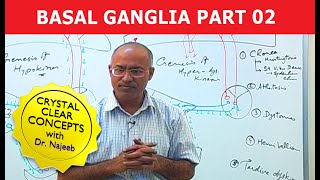 Basal Ganglia  Neuroanatomy  Part 23 [upl. by Andrien]