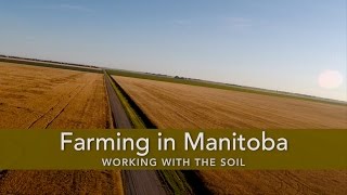 Farming in Manitoba [upl. by Stoll532]