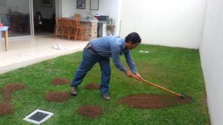 Como aplicar composta en jardin [upl. by Orland]