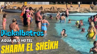 Pickalbatros Aqua Blu Hotel SHARM EL SHEİKH  EGPYT 🇪🇬 [upl. by Ailed]