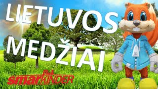 ✅ Lietuvos medžiai  SmartkinderTV  Filmukai vaikams lietuviškai [upl. by Rouvin]