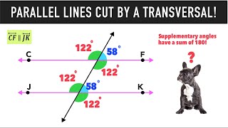 Parallel Lines Cut by a Transversal amp Angle Relationships [upl. by Areval]