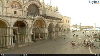 Piazza San Marco  Venice  Live [upl. by Aylmer]