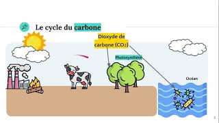 Le cycle du carbone et de loxygene [upl. by Devinna]