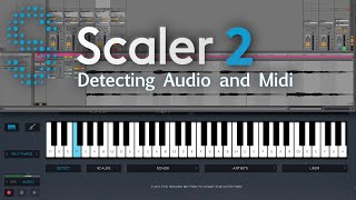 Scaler 2 Workflow  Audio amp Midi Detection [upl. by Manas]