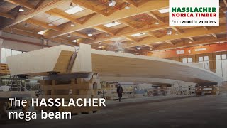 The HASSLACHER mega beam [upl. by Seen]