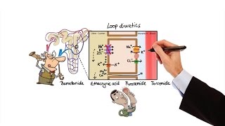 Pharmacology  DIURETICS MADE EASY [upl. by Ayikal]