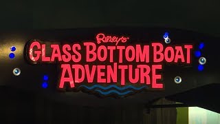 Ripleys Aquarium Glass Bottom Boat Adventure [upl. by Reedy674]