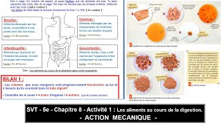 SVT  5e  Chapitre 8  Activité 1  Aliments au cours de la digestion [upl. by Grata]