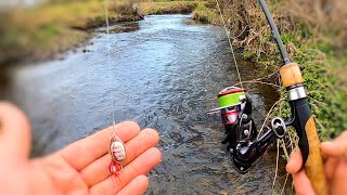 Spinning for WILD River trout spring Fishing [upl. by Zulaledairam849]