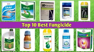 Top 10 Best Fungicide [upl. by Aicnom]