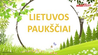 ✅ Lietuvos paukščiai  SmartkinderTV  Filmukai vaikams lietuviškai [upl. by Marius]