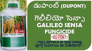 DUPONT GALILEO SENSA FUNGICIDE FULL DETAILS IN TELUGU  FUTURE TECH AGRICULTURE [upl. by Anillehs953]