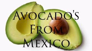 Avocados from Mexico 1 hour [upl. by Edvard]