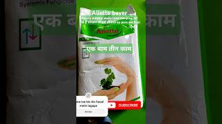 Bayer Aliette  Aliette Bayer fungicide [upl. by Bough]