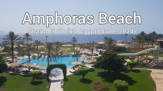 Amphoras Beach Sharm El Sheikh June 2024 [upl. by Relyhcs]