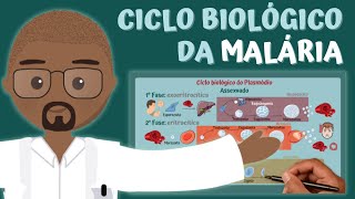 Ciclo Biológico da MALÁRIA Plasmódio  PARASITOLOGIA ILUSTRADA [upl. by Nivrem]