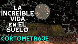 ¡La vida del suelo Cortometraje🌎  FAO [upl. by Duane]