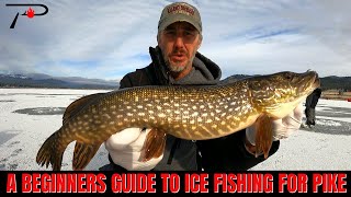 A Beginners Guide To Ice Fishing For Pike [upl. by Mientao917]