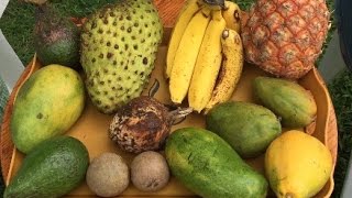 Soursop and Jamaican Tropical Fruit [upl. by Nylsor]