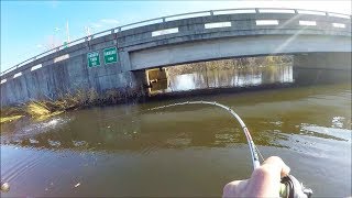 I Found the BEST SPOT Incredible Pike Fishing [upl. by Kelvin]