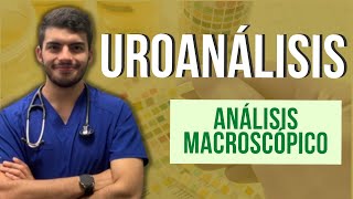 UROANÁLISIS  Conceptos básicos y análisis macroscópico Parte 1 [upl. by Bacon577]