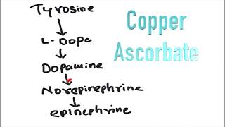 Tyrosine to Dopa Norepinephrine Epinephrine and Melanin [upl. by Kain]