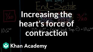 Increasing the hearts force of contraction  NCLEXRN  Khan Academy [upl. by Daniyal923]