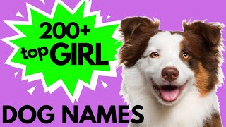 Top 200 Unique FEMALE Dog Names – Girl Dog Names [upl. by Nodanrb246]