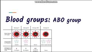 Blood grouping  ABO blood group system [upl. by Attenov]