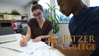 Career Services  Pitzer College [upl. by Adnima675]