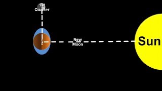 Space Science Tutorial Spring and Neap Tides [upl. by Annayek]