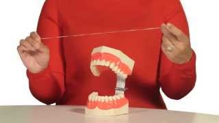 How to Floss Your Teeth [upl. by Antons]