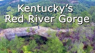 Kentuckys Red River Gorge Natural Bridges and Daniel Boone National Forest  An Aerial View [upl. by Dlarej]