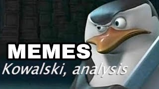 KOWALSKI ANALYSIS MEMES COMPILATION [upl. by Yejus]