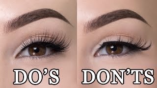 FALSE LASHES DOS amp DONTS [upl. by Jordain]