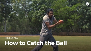 How to Catch the Ball  Cricket [upl. by Cohn]