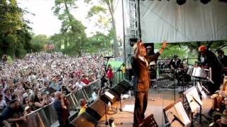 Melbourne Ska Orchestra  WOMADelaide 2012 official video [upl. by Ultann337]