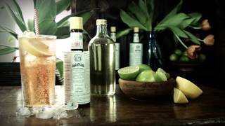 Angostura Lemon Lime Bitters  Quick Serve Method  Drinks Network [upl. by Eniron726]