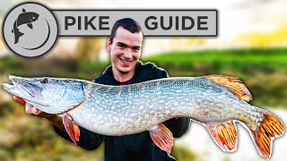 A Beginners Guide To Pike Fishing  Tactics Bait Lures Rigs and Unhooking [upl. by Roe]