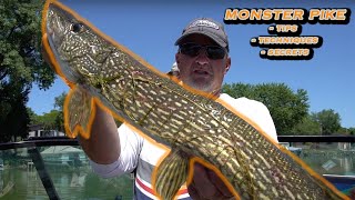 Summer Pike Fishing Tips [upl. by Gathers845]