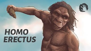 Homo Erectus  The First Humans [upl. by Mallina678]