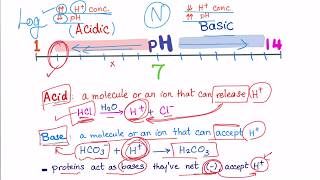 Acid Base Disorders part 2 acidosis vs acidemia [upl. by Nesrac]