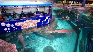 Glass Bottom Boat Adventure in Shark Lagoon  Ripleys Aquarium of The Smokies  Penguin Encounter [upl. by Virendra]