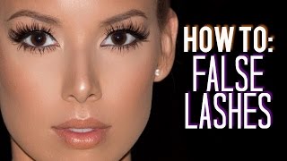 How I Customize Trim amp Apply False Lashes  LustreLux [upl. by Aisauqal]